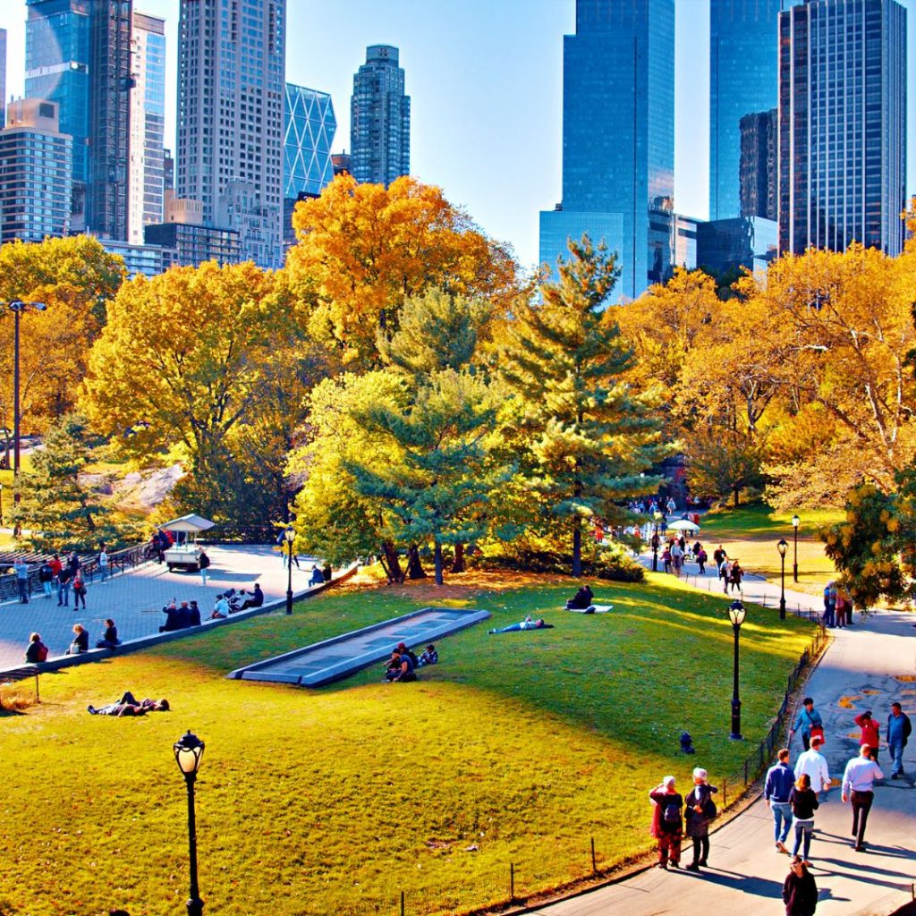 Pasea en Central Park en verano