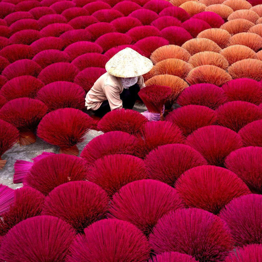 vietnam naturaleza